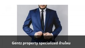 Gentz property มีทักษะด้านไหน ?