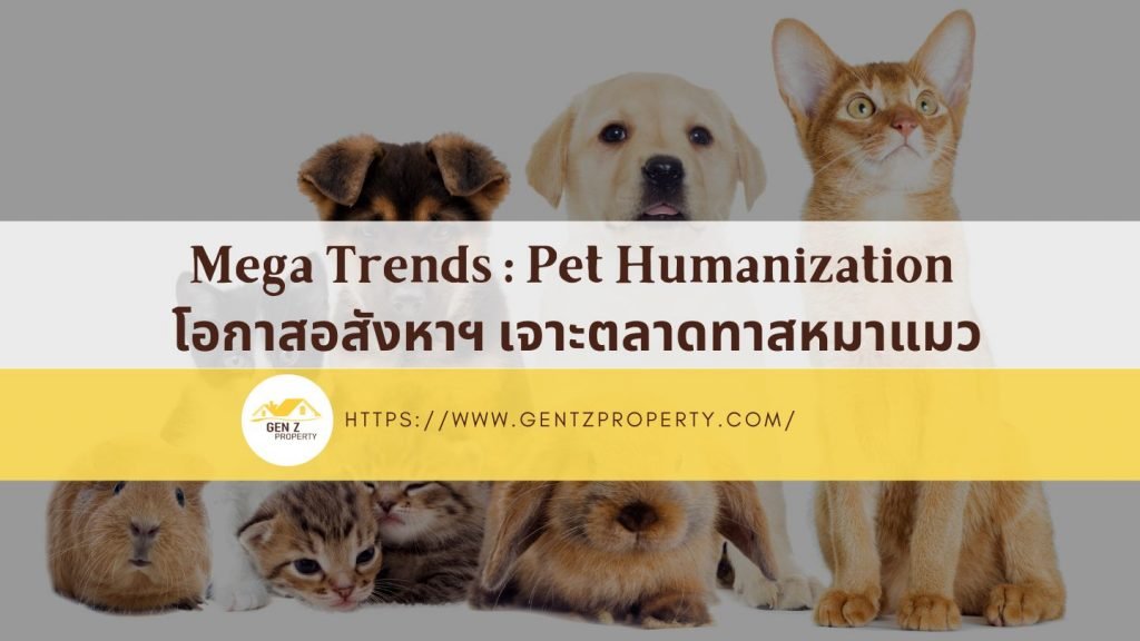 Mega Trends : Pet Humanization โอกาสอสังหาฯ เจาะตลาดทาสหมาแมว